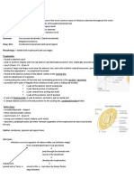 Intestinal Flagellates