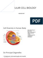 Molecular Cell Biology: Micros