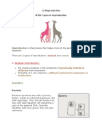 12 Reproduction Biology Notes IGCSE PDF