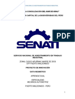 Proyecto Senati