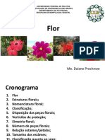 Aula Flor