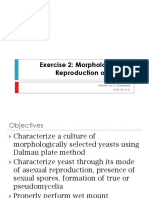 Exer 2 Morphology and Reproduction of Yeasts