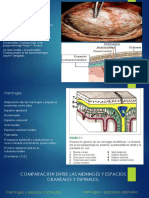 Las Meninges