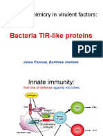 Tir Seminar For Federal Univ. of Rio