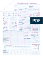 Ficha Perinatal Ambulatorio