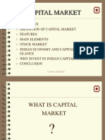 Capital Market