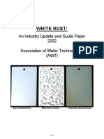 White Rust:: An Industry Update and Guide Paper 2002 Association of Water Technologies (AWT)