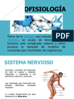 Neurofisiologia 1