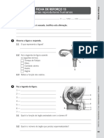 Ciências 6ºano