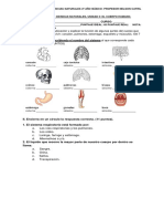 Evaluación de Ciencias Naturales Unidad 3 El Cuerpo Humano Sistemas Básico