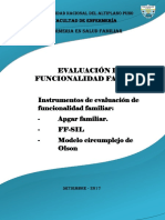 Evaluacion de La Funcionalidad Familiar - Dianeth Liz Chino Flores