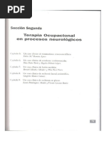 (Segunda) Terapia-Ocupacional-Begona-Polonio-Rojo2 PDF