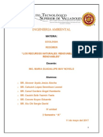 Resumen - RECURSOS NATURALES