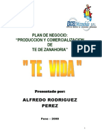 Plan de Negocio Zanahoria