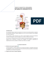 El Aparato Digestivo