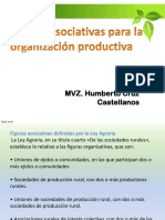 Figuras Asociativas para La Producción