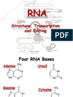 Structure, Transcription and Editing