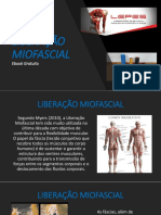 Ebook Liberacao Miofascial Lepes