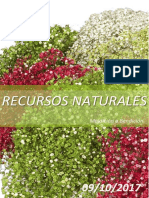 Maldición o Bendición de Los Recursos Naturales