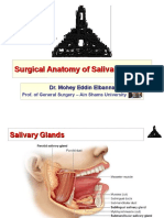 Surgical Anatomy of Salivary Glands