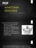 Anatomia Aplicada A La Odontologia