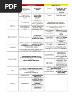 Blood Supply