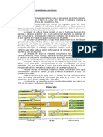 Clase 4 Asociaciones y Rotaciones