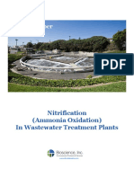 Nitrification Ammonia Oxidation in Wastewater Treatment Plants 1 2