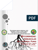 Mycorrhizae