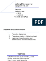 Plasmid Vectors