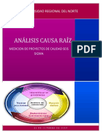 Analisis Causa Raiz