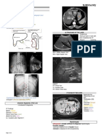 RADIO Liver and Gallbladder