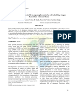 Studies On Some Nematophagous Fungi For Management of Root Knot Diseases of Tomato