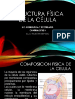 Presentacion Estructura Fisica de La Celula - E1