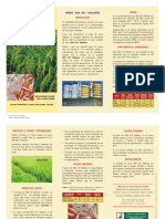 Arroz Inia 510 - Mallares PDF