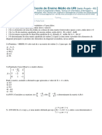 Determinates 17 PDF