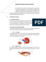 Enfermedades Del Sistema Excretor Humano