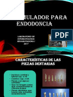 Simulador para Endodoncia 2017