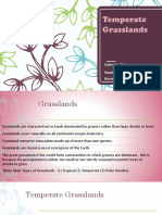 Hazel Temeprate Grasslands