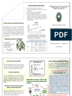 TRIFOLIO SANIDAD Imprimir