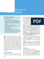 Integrative Functions of The Nervous System