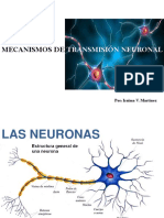 Neurociencia. Mecanismos de Transmisión Neuronal. Dra. Iraima V Martínez M