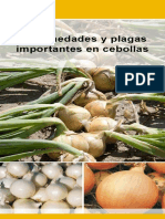 Bejo Enfermedades y Plagas Cebollas PDF