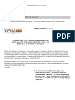 Declaracion de Informacion Relativa NSR