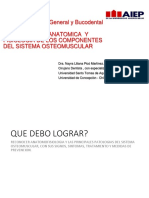 Descripcion Anatomica de Los Componentes Del Sistema Osteomuscular