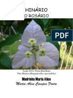 Madrinha Maria Alice - O Rosario