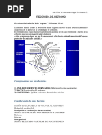 Hernias Resumen