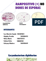 Bacilos Grampositivo (+) No Formadores de Esporas 2