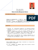 Nelsy Curriculum Nuevo