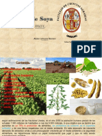 Cultivo de Soya